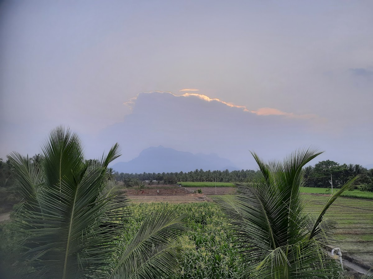 Mountain view from Sathyam Nithyam Yoga Salai, Coimbatore